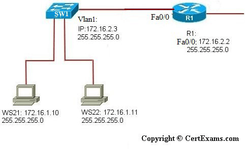 lab image